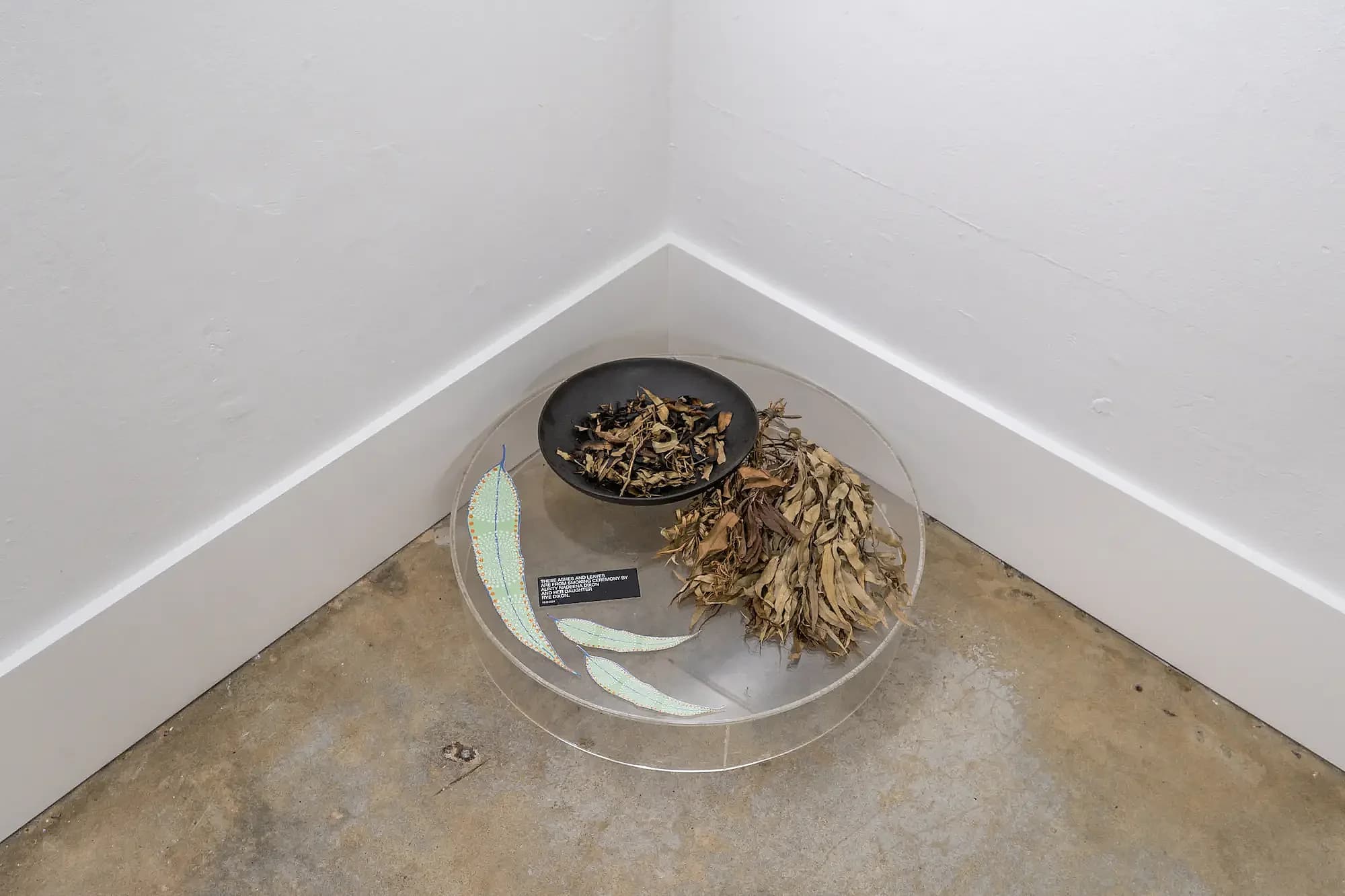 Dirty Words: First Nations Languages