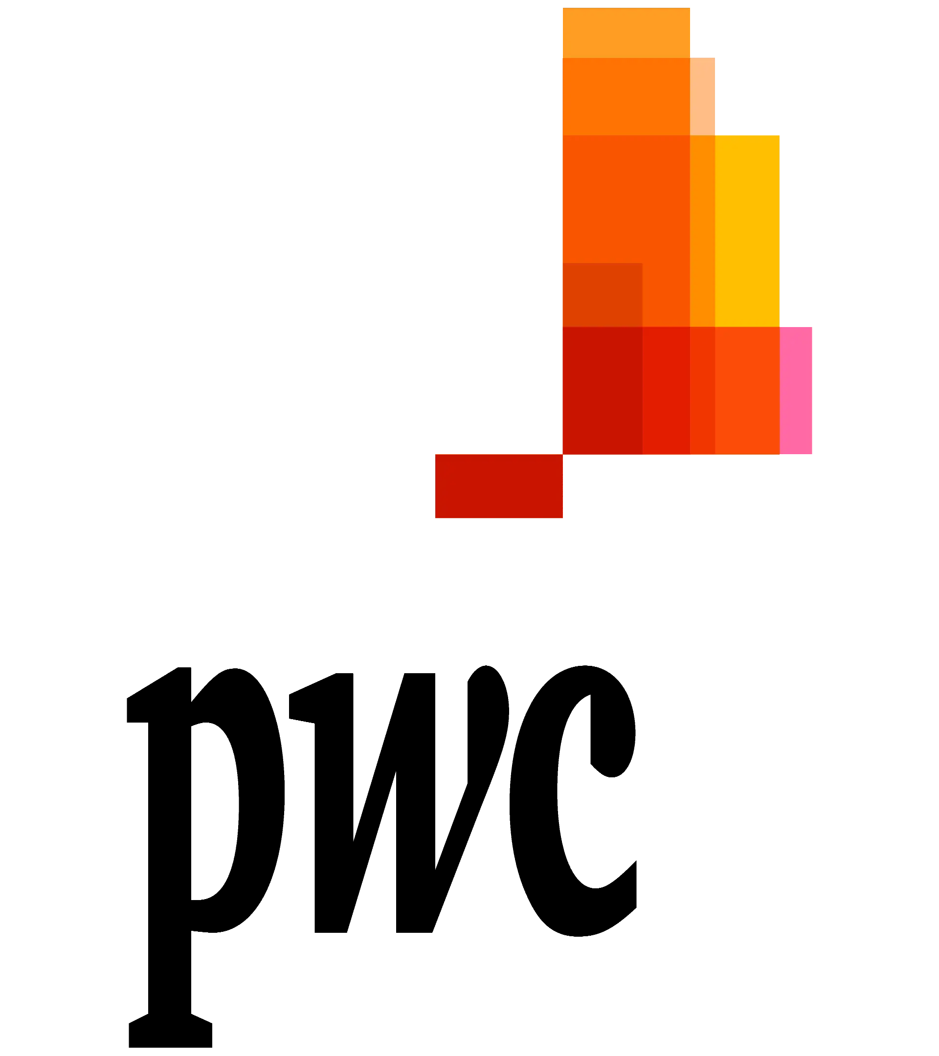 Foundational Support logo 2